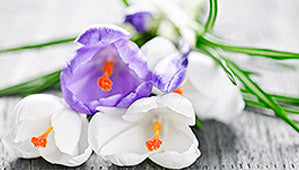 Even if you are rookie we will help you in choosing convenient product