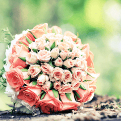 Bouquet of red roses
