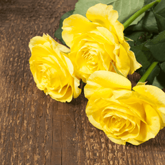Bouquet of yellow roses